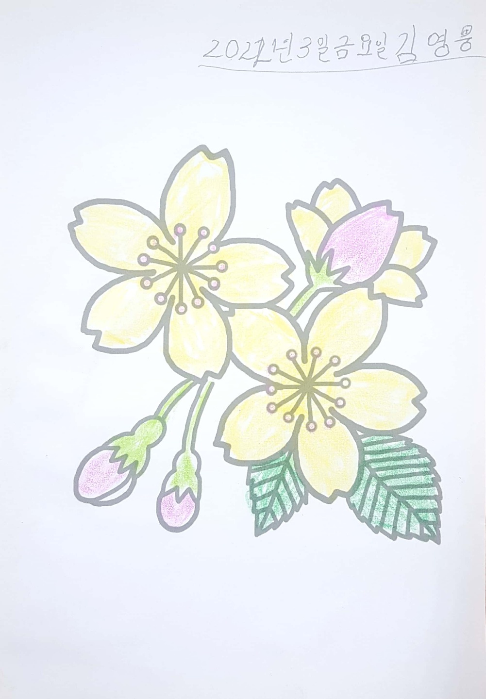 1948697120_xCu4R7h8_b6c622c6ae9a631d0a63d710c9ab2f7e5353e629.jpg 이미지크게보기